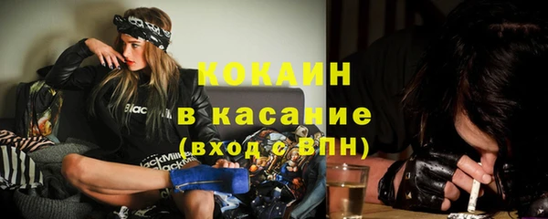 сатива Алексин