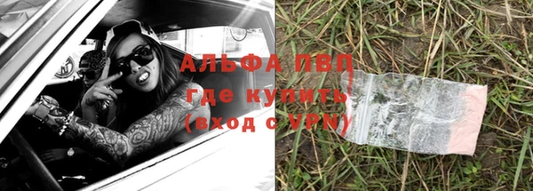 сатива Алексин