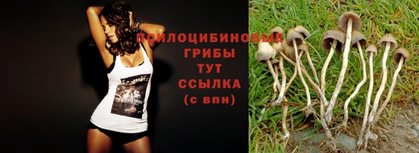 ПСИЛОЦИБИНОВЫЕ ГРИБЫ Алексеевка