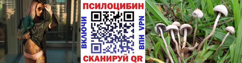 Галлюциногенные грибы MAGIC MUSHROOMS  мориарти какой сайт  Приморск 
