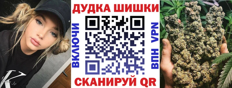 Шишки марихуана OG Kush  Приморск 